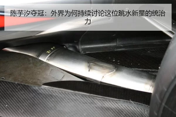 陈芋汐夺冠：外界为何持续讨论这位跳水新星的统治力